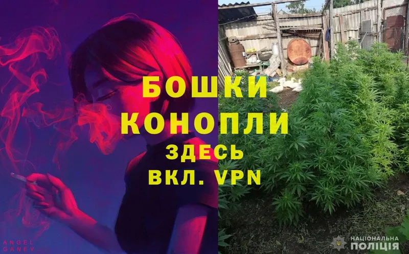 Канабис OG Kush  Избербаш 